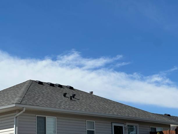 Best Storm Damage Roof Repair  in Haubstadt, IN